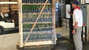 Pallet Shortage Update: Why the Problem Could Linger Through 2021
