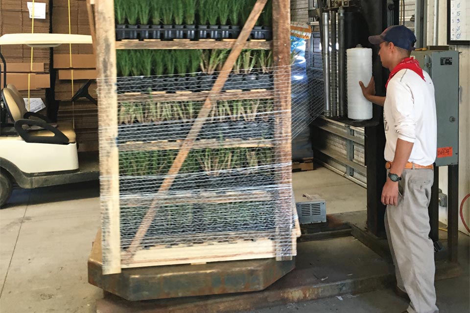 hoffman-wrapped pallet shortage