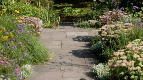 Perennial Plant Association Southern Symposium Takes Place At Dallas Arboretum In October