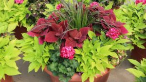 Which Plants Do Retailers Change The Prices On Most?