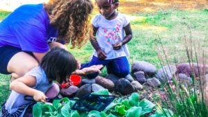 National Garden Bureau Announces Horticulture Therapy Garden Grant Winners