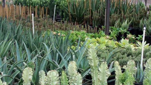 What To See At The IPPS – Western Region Annual Meeting