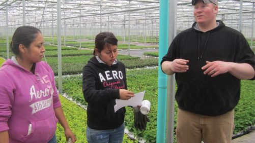 Cultivate’19 to Feature Workshop Aimed at HR Professionals in Horticulture Businesses