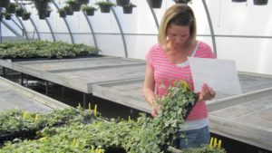 New Salary Data Highlights the Promise of Horticulture Careers