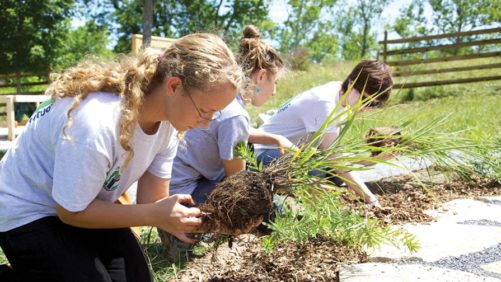 Feeling Stressed About Coronavirus? Plant Something