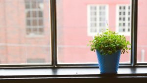 National Initiative for Consumer Horticulture Releases New Marketing Infographics