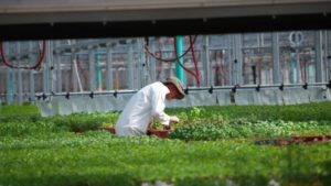 EPA’s Worker Protection Changes To Take Effect In January 2017