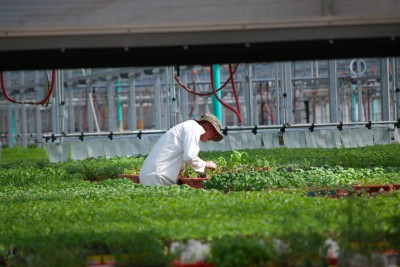 EPA’s Worker Protection Changes To Take Effect In January 2017