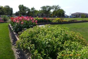 2016 North Dakota State University Field Trials Results