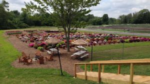National Garden Bureau, All-America Selections Return to In-Person Summit
