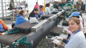 State of the Industry 2017: Growers are Ready to Invest to Alleviate Labor Pains