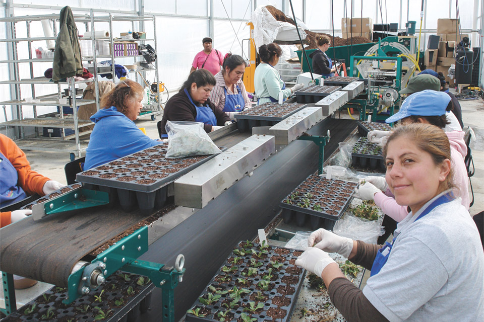 bouldin-lawson-pro-sticking-line-at-north-creek-nurseries Alliance for a New Immigration Consensus 
