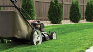 Want To Sell More Plants? Just Tell Your Customers Why They Need Them