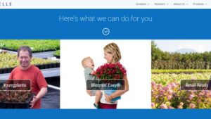 Van Belle Nursery Launches Improved Website