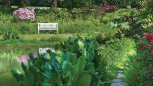Help Nature-Loving, Gardening-Skeptic Consumers Fall In Love With Plants