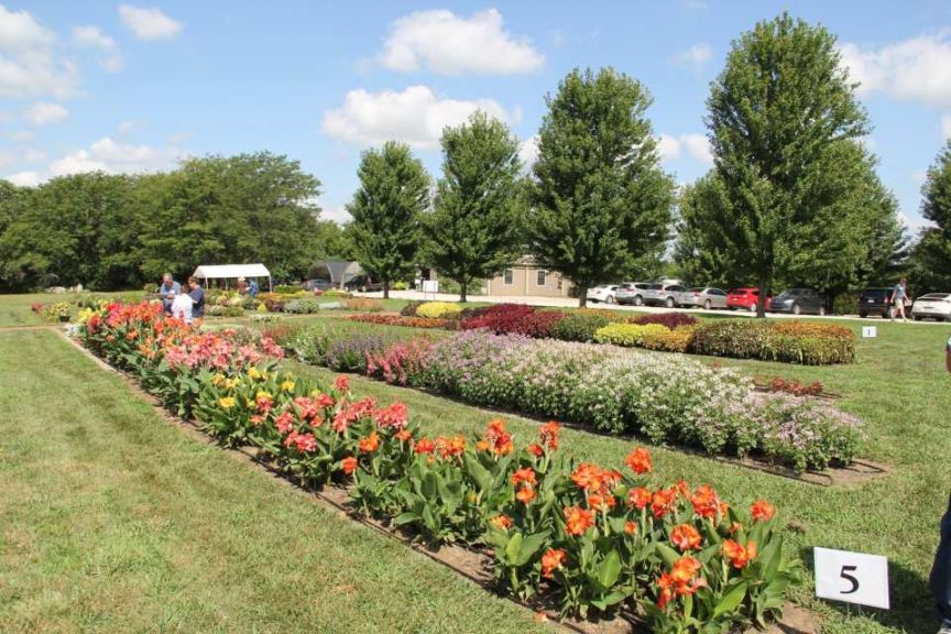 2016 Kansas State University Field Trials