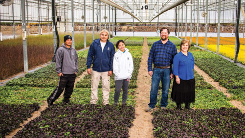 How Bailey Nurseries Has Found Solutions To The Labor Shortage