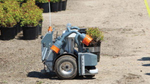 What Happens If We Do Nothing About Farm Labor Shortages?