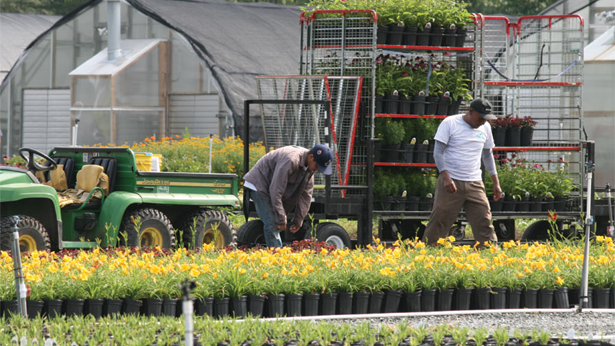 ag labor supply-and-quality