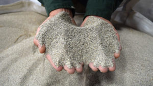 New Growing Media Advancements Giving Growers More Options