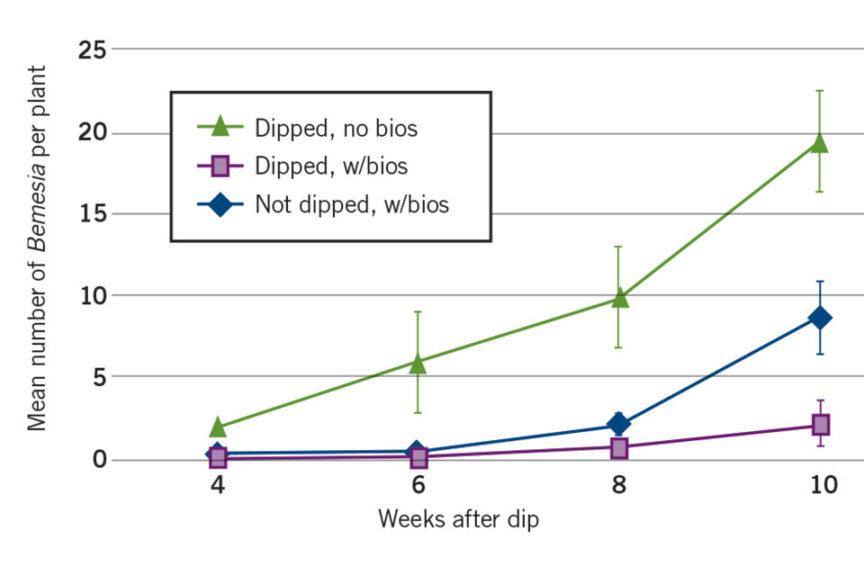 Figure 3C.