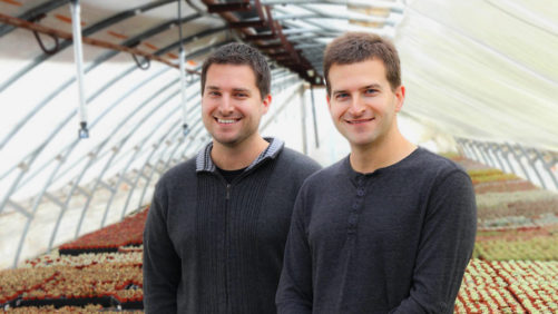 Why ArizonaEast Is Expanding Its Succulent Production To Florida