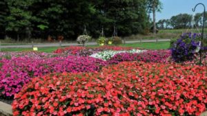 C. Raker & Sons Acquired By Roberta’s Unique Gardens