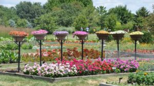 2016 Iowa State University Field Trials Results