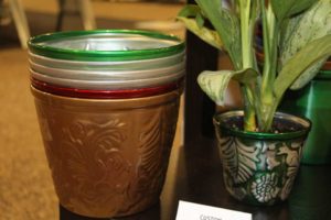 Trendsetting Products and Ideas From TPIE 2017