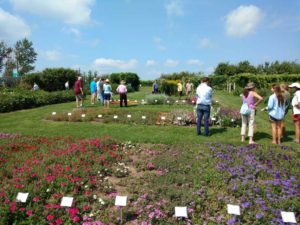 2016 University of Wisconsin Field Trials Results
