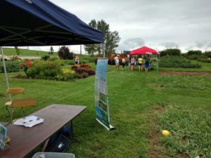 2016 University of Wisconsin Field Trials Results