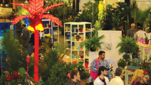 Tropical Plant International Expo Canceled