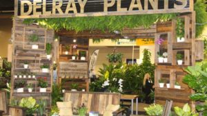 Check Out the Top 10 Most-Read News Stories on GreenhouseGrower.com in 2017!