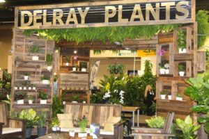 Trendsetting Products and Ideas From TPIE 2017