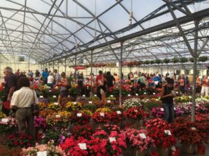 2016 Welby Gardens Field Trials Results