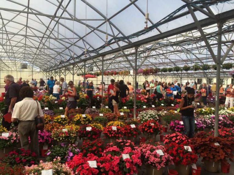 2016 Welby Gardens Field Trials Results