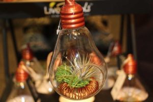 Trendsetting Products and Ideas From TPIE 2017