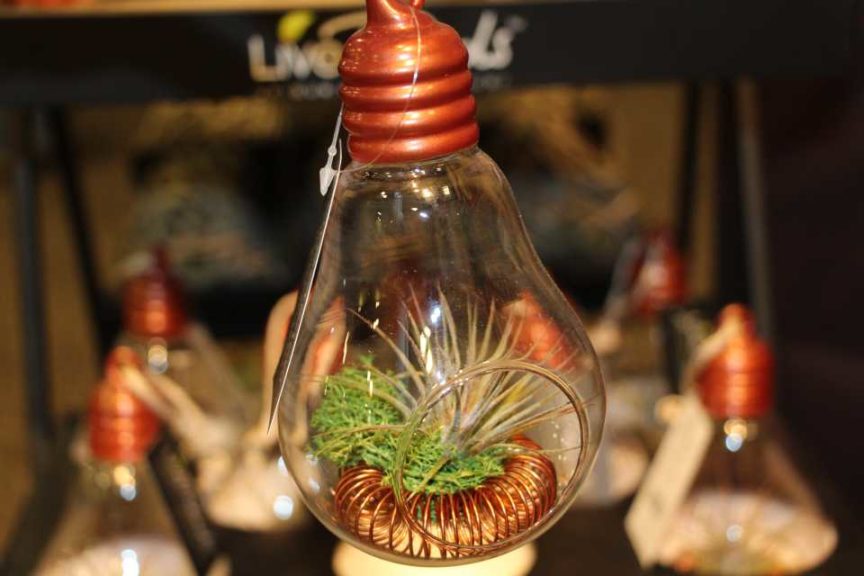 Trendsetting Products and Ideas From TPIE 2017