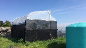 New Greenhouse Cooling System in Development for Hot-Climate Regions