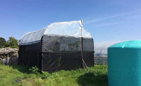 New Greenhouse Cooling System in Development for Hot-Climate Regions