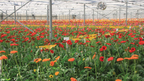 Take a Survey About Remote Sensing in the Green Industry