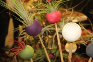 Trendsetting Products and Ideas From TPIE 2017