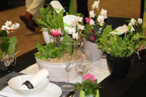 Trendsetting Products and Ideas From TPIE 2017