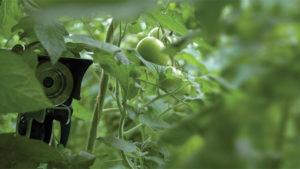 The Latest Updates in Greenhouse Environmental Controls