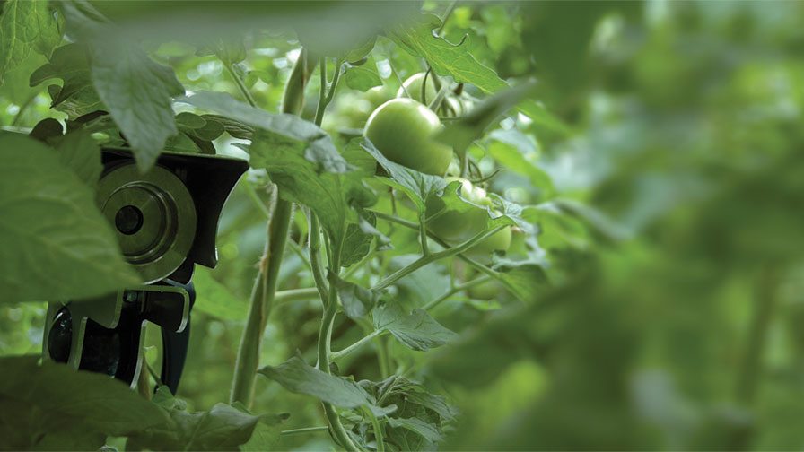 TopCrop Monitor (Priva)