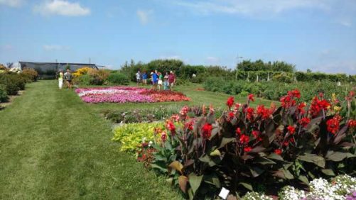 2016 University of Wisconsin Field Trials Results