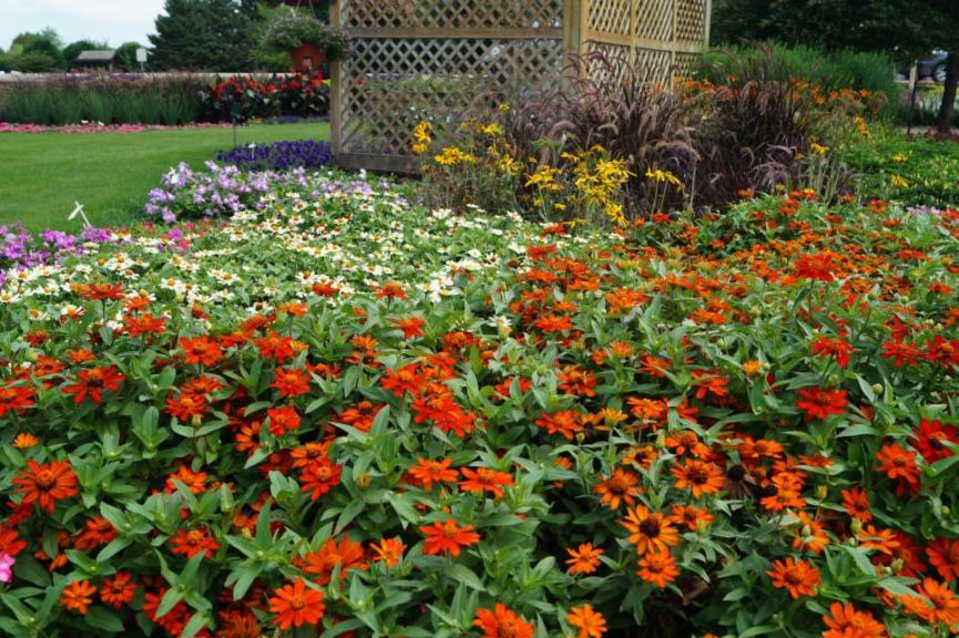 2016 University of Minnesota Field Trials Results