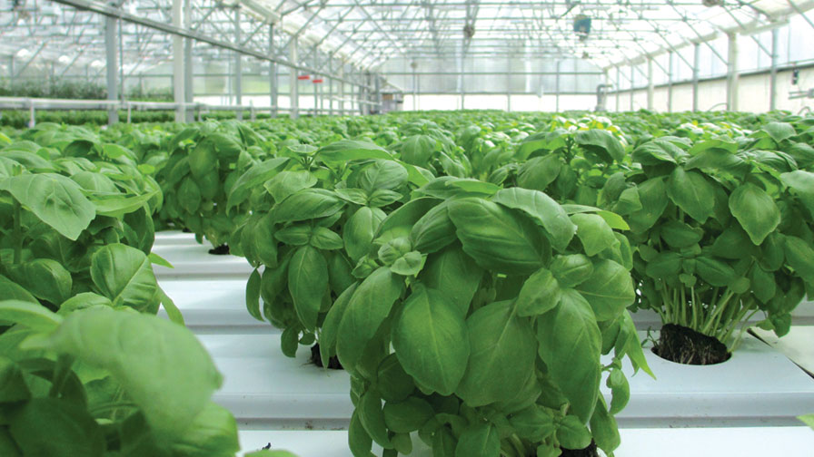 Demand Quality: Embrace Food Production With Confidence
