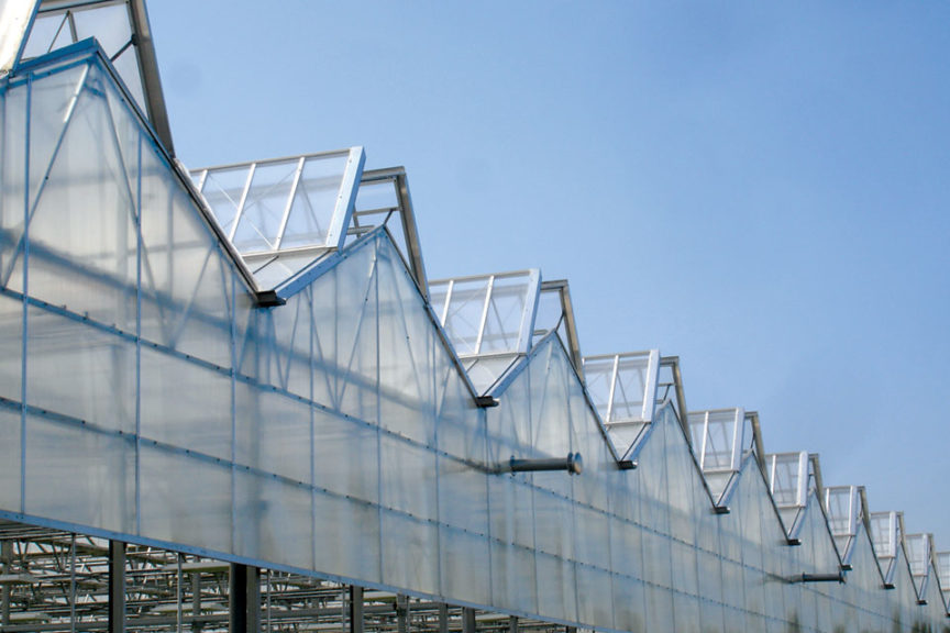 Dual Atrium (Nexus)