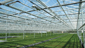 AmericanHort’s Production Technology Conference To Debut In October